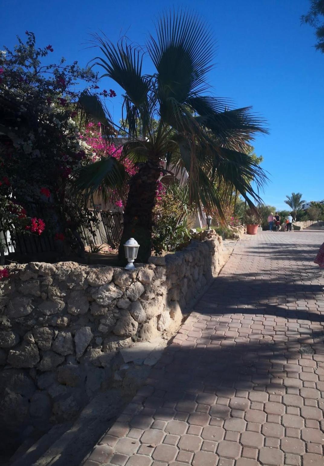 Cordoba Suites フルガダ エクステリア 写真